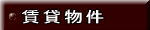 ���ݕ���