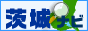ir-Vтƕ炵̂X-